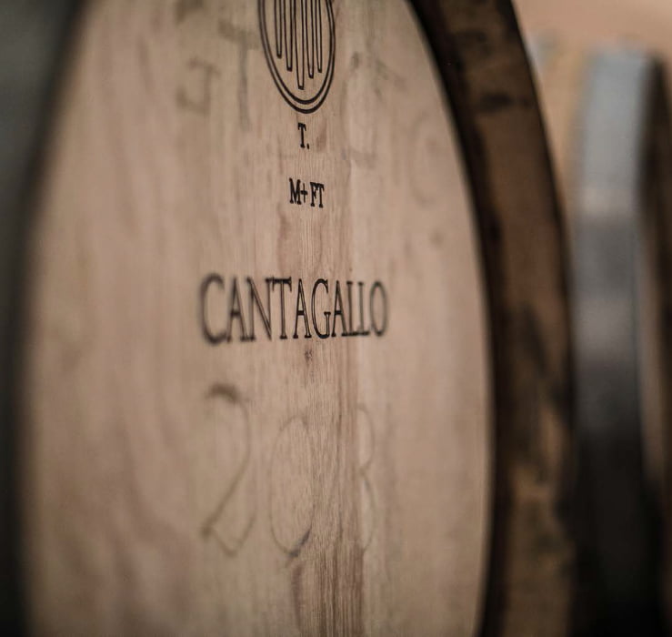 Botte di vino