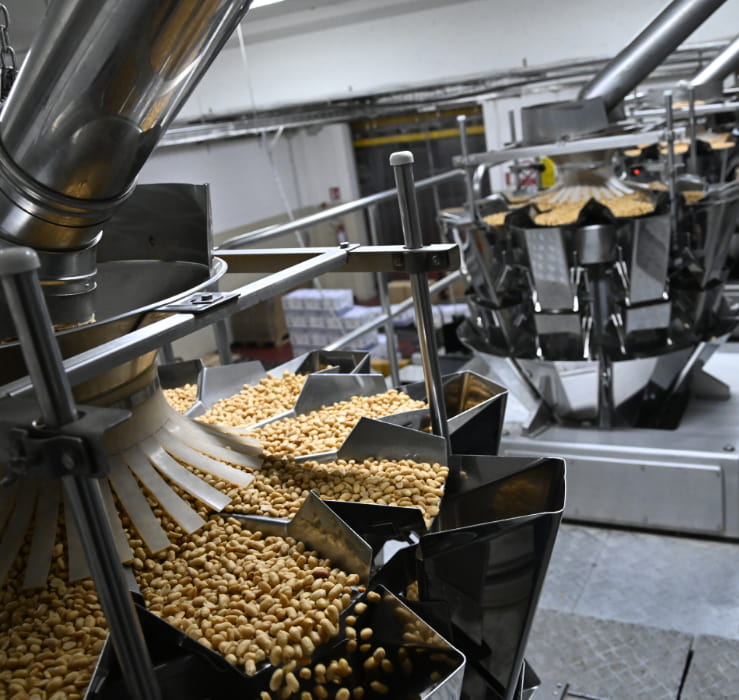 Macchinari industriali