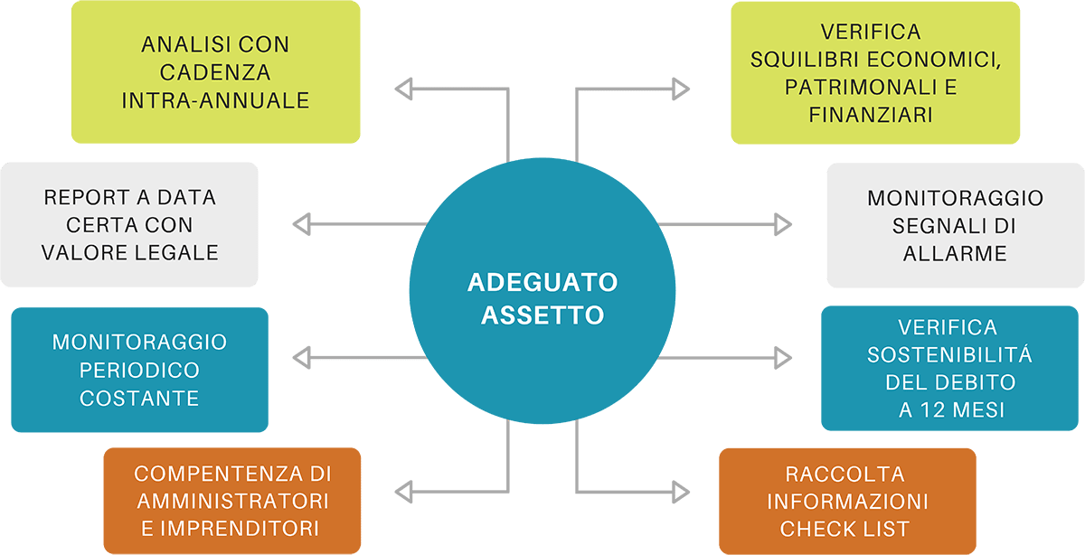 DCFO Adeguati Assetti Diagramma